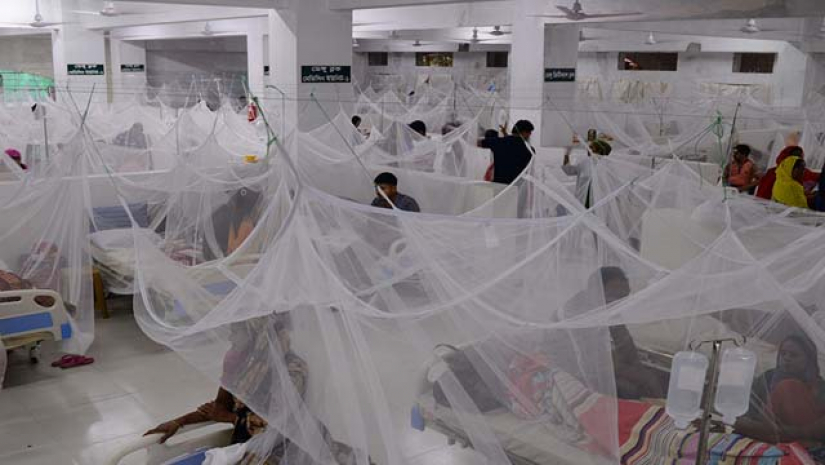 ডেঙ্গু আক্রান্ত রোগী