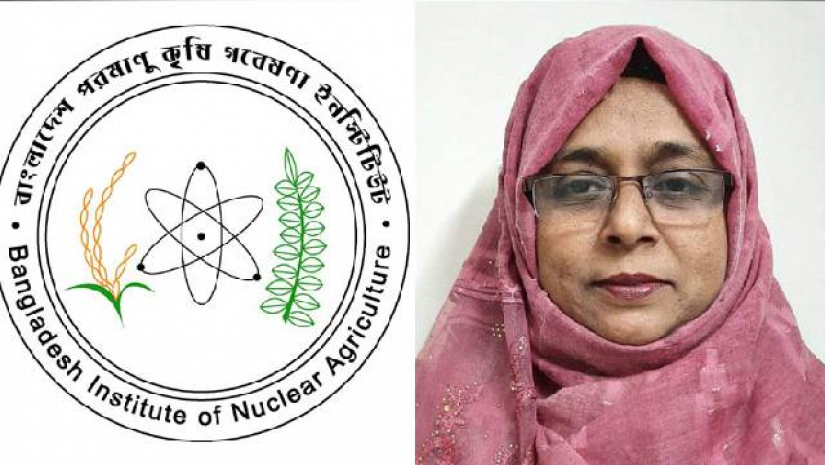 আন্তর্জাতিক পুরস্কার পেল কৃষি গবেষণা ইনস্টিটিউট ও শামসুন নাহার