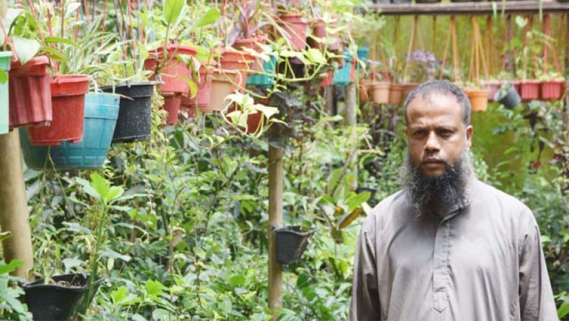 করোনার থাবায় শিক্ষক থেকে এখন গাছ বিক্রেতা