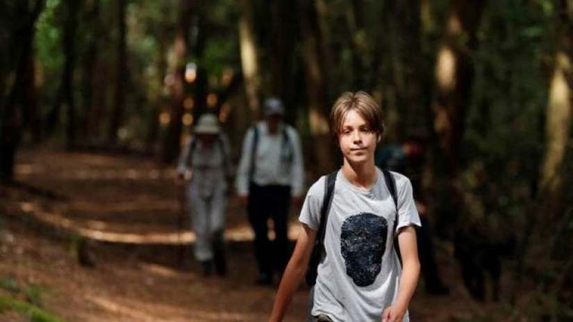 জুড ওয়াকার