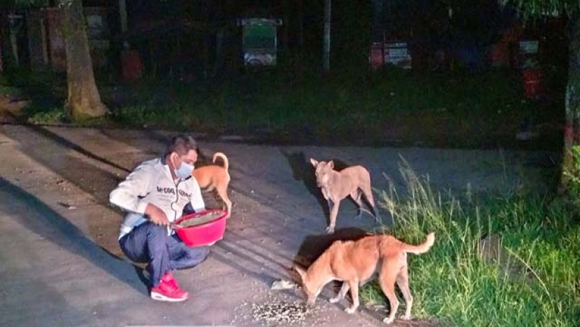 ক্যাম্পাসের অভুক্ত প্রাণীদের পাশে জাবি শিক্ষক