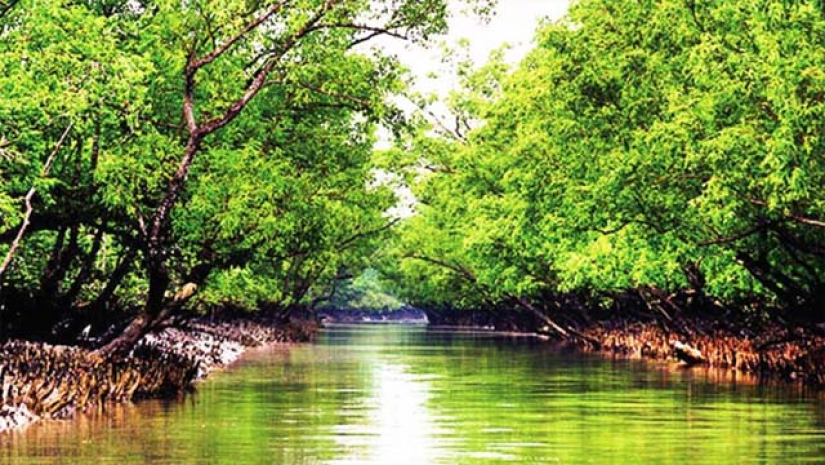 সুন্দরবন