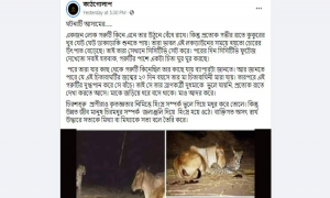 গরু-চিতা বাঘ সখ্যতার ঘটনাটি আসাম নয় গুজরাটের