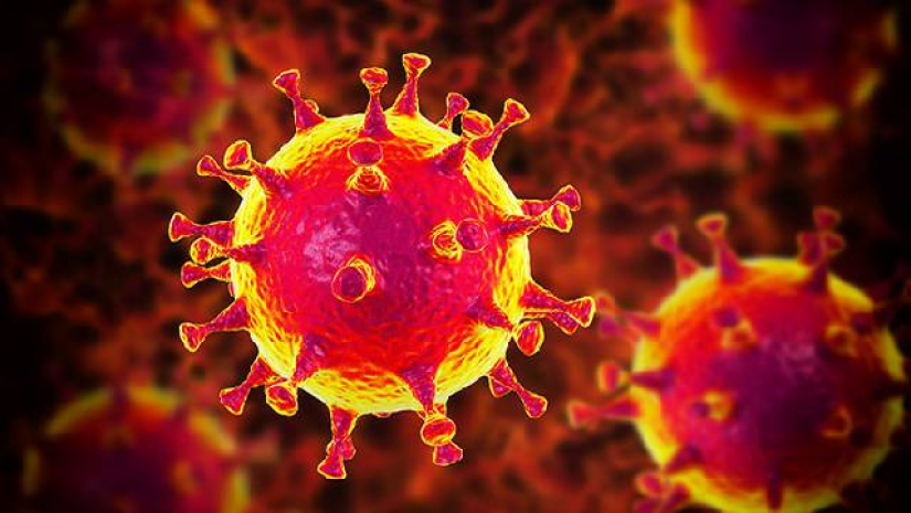 ২৪ ঘণ্টায় দুই বিভাগে করোনায় মারা যায়নি কেউ