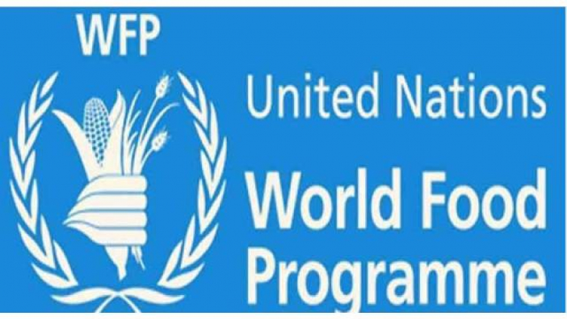 জাতিসংঘের খাদ্য সহায়তা সংক্রান্ত শাখা, বিশ্ব খাদ্য কর্মসূচি (ডব্লিউএফপি)