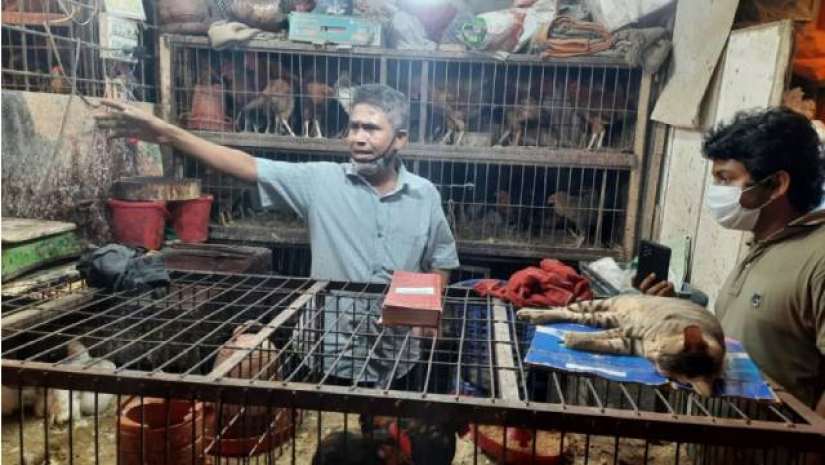 ব্যবসায়ী নুরুজ্জামান