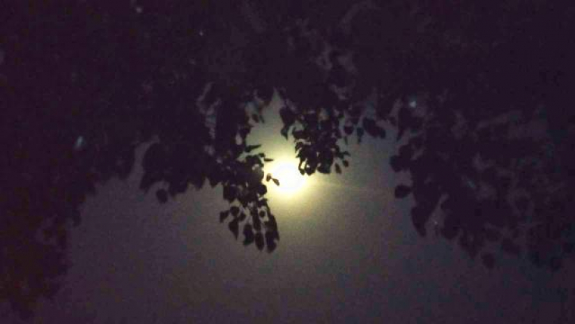 আজকের রাতটি তার দিনের সমান