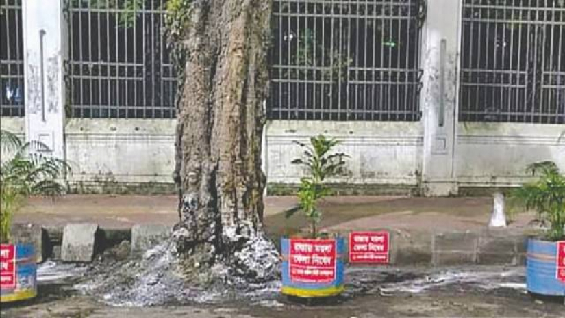 ঢাবি ক্যাম্পাসে ময়লা ফেলার জায়গায় বসলো ফুলের টব