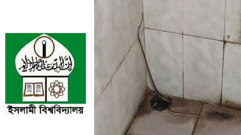 ইবি লোগো ও লালন শাহ হলের ওয়াশরুমে সাপ