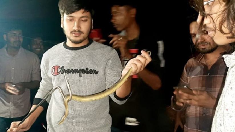 ক্যাম্পাসের ‘সাপুড়ে’ তাসিব