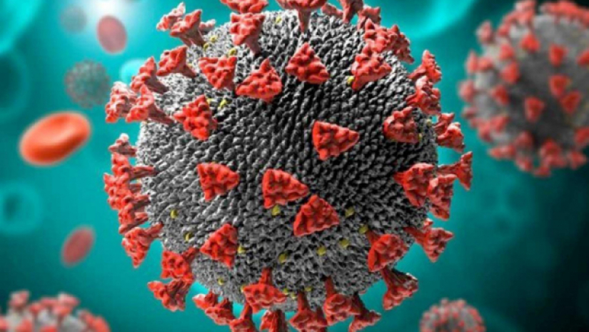 করোনাভাইরাসে মৃত্যু ও শনাক্ত দুটোই বেড়েছে