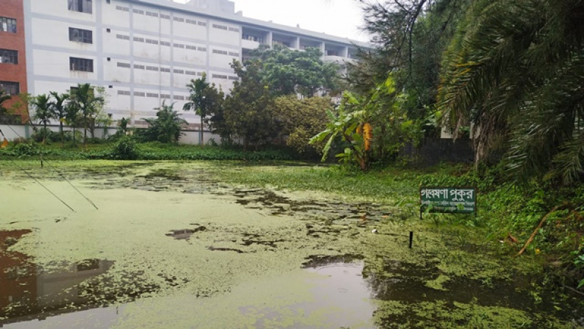যবিপ্রবিতে গবেষণা পুকুরের বেহাল দশা
