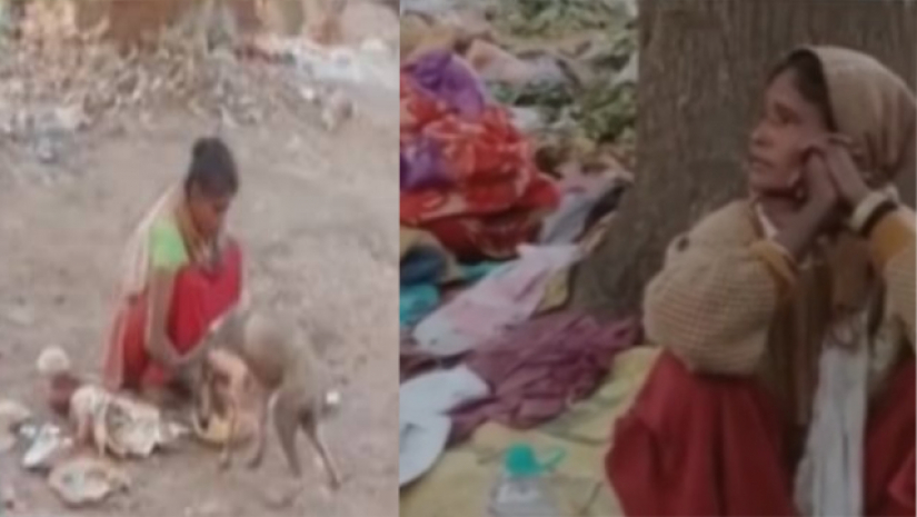 কুকুর আর নারীর একই পাতে খাবার খাওয়ার দৃশ্য