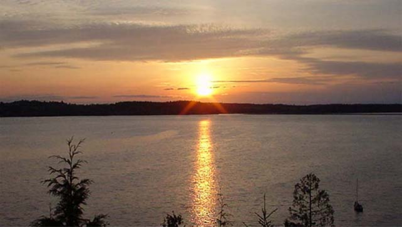 স্বাগত ২০২২: নতুন আলোর প্রত্যাশা