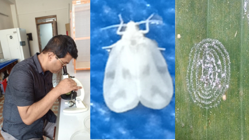 গবেষক দলের প্রধান অধ্যাপক ড. গোপাল দাস