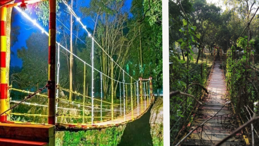 সেতুর বেহাল দশায় দুর্ভোগে শিক্ষার্থীরা