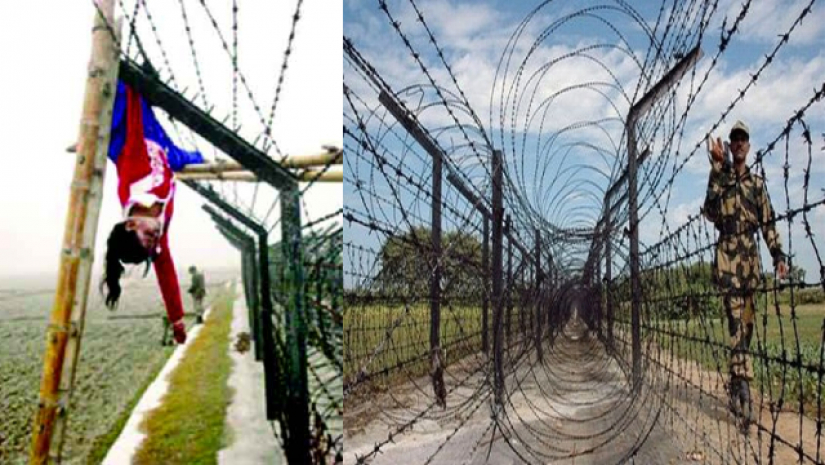 বিএসএফের গুলিতে নিহত ফেলানীর লাশ সীমান্তের কাঁটা তারে এভাবেই ঝুলেছিল (বায়ে)।