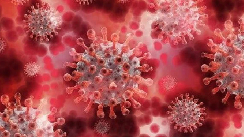 করোনাভাইরাস