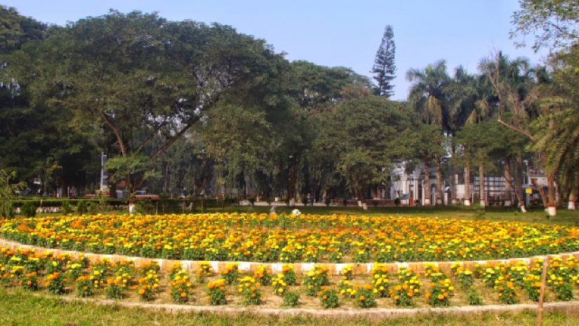 ইবিতে সুবাস ছড়াচ্ছে নানা প্রজাতির ফুল