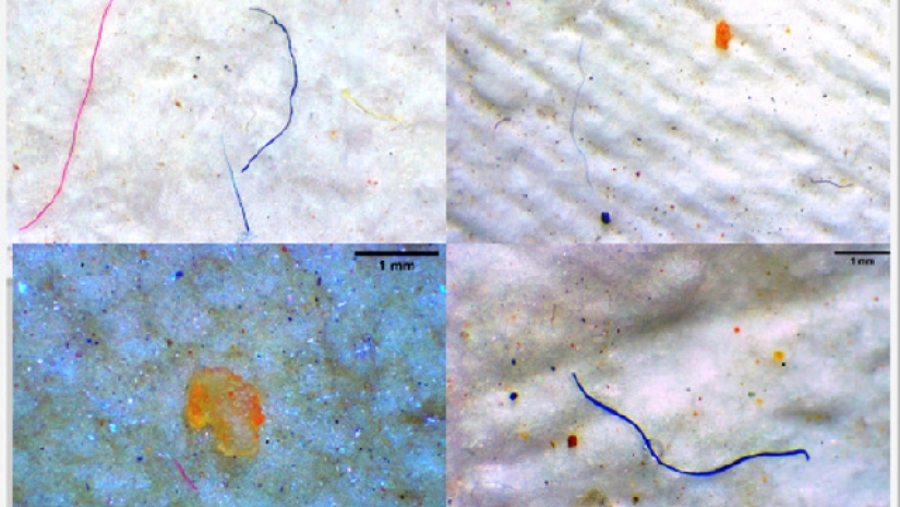 খাবার লবণে মিলছে প্লাস্টিক
