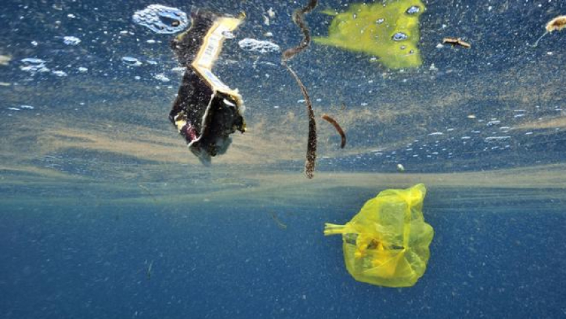 সাগরের ওপর থেকে নীচ পর্যন্ত ছড়িয়ে পড়েছে প্লাস্টিক