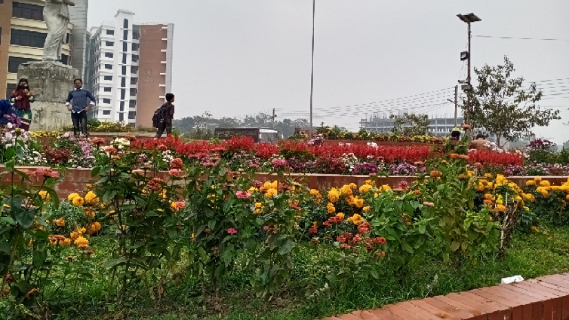 ফুলে ফুলে সুশোভিত নজরুল বিশ্ববিদ্যালয়