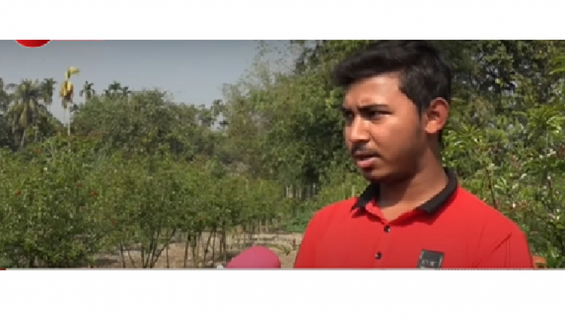 আনোয়ার হোসেন ফয়সাল