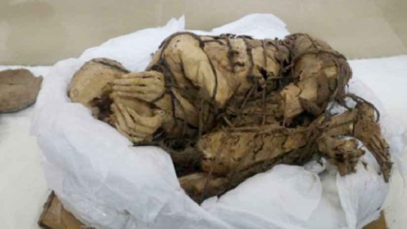 পেরুর প্রত্নতাত্ত্বিকরা প্রায় ৮০০ থেকে ১২০০ বছর আগের বেশ কিছু মমি আবিষ্কার করেছেন। 