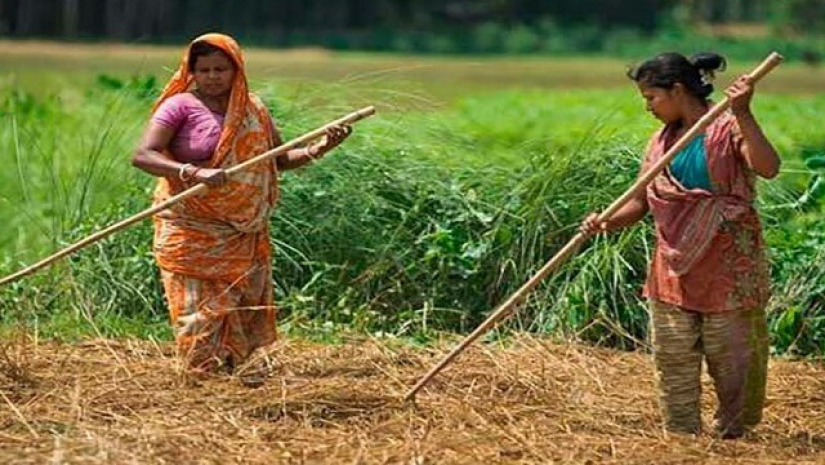 পুরুষের পাশাপাশি নারীরাও এখন বিভিন্ন ধরনের কাজে অংশ নিচ্ছে