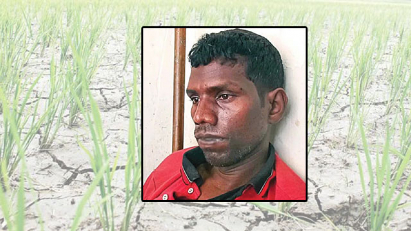 জমিতে সেচের পানির জন্য জীবন দিলো দুই কৃষক