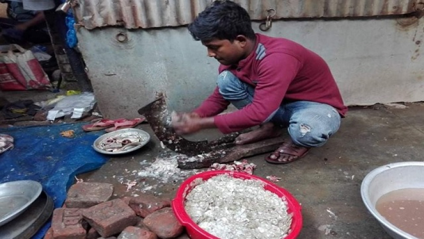 মাছের আঁশ সংগ্রহে ব্যস্ত ব্যবসায়ী