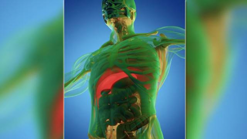 একমাস রোজা রাখলে শরীরে যা ঘটে