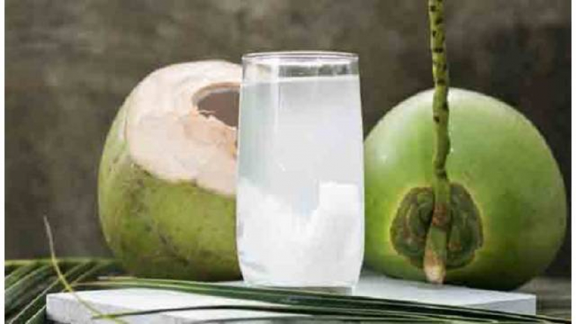 শরীর চাঙা করতে ডাবের পানি এক অনন্য উপকরণ
