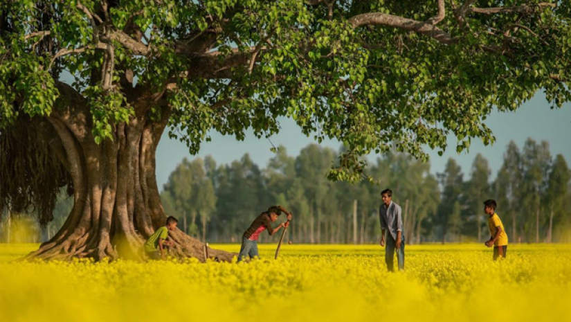 আব্দুল মমিনের তোলা ছবি 