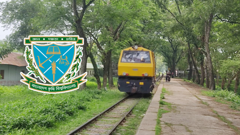 বাকৃবি রেল জংশন 