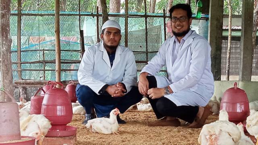 মুরগির মাংসে-ডিমে ওমেগা-৩ এসিড সমৃদ্ধকরণে সাফল্য পেয়েছে বাকৃবি