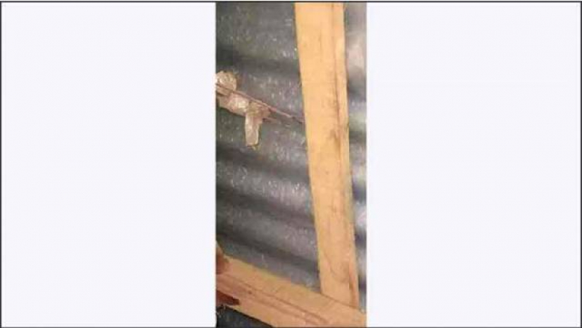 স্কুলে বৈদ্যুতিক তারে জড়িয়ে ছাত্রের মৃত্যু