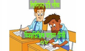 বিশ্ববিদ্যালয় ভর্তি পরীক্ষা: বিষয়ভিত্তিক চূড়ান্ত মডেল টেস্ট-০৮