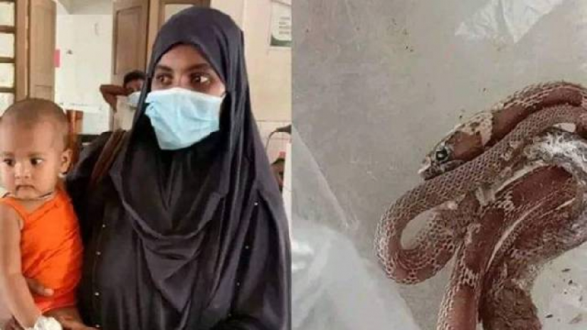 শিশু জান্নাতুল ফেরদৌস