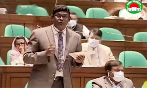 ৩৫ প্রত্যাশীদের পক্ষে সংসদে দাবি উত্থাপন করলেন শামীম হায়দার