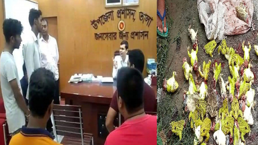 ব্যাঙ মেরে প্রথম শাস্তি পেলেন ২ যুবক