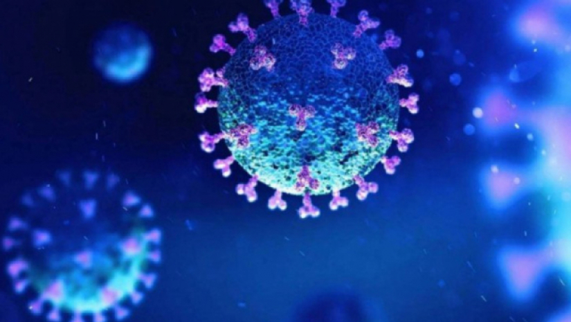 করোনা ভাইরাস 