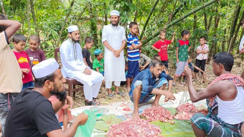 বানভাসিদের জন্য গরু কোরবানি দিলেন ছাত্র মজলিশ