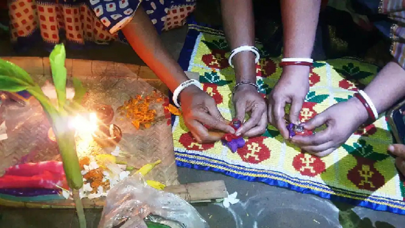 মহা ধুমধামে ব্যাঙের বিয়ে