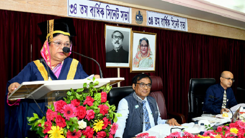 বক্তব্য রাখছেন চবি উপাচার্য