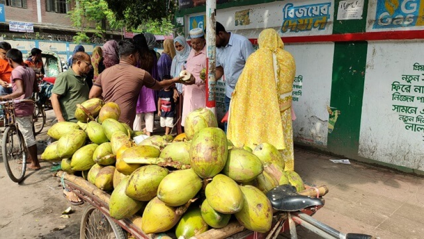 রাজধানীর বেইলী রোডের ভিকারুননিসা নূন স্কুল এন্ড কলেজের ডাব কিনছেন অভিভাবকেরা