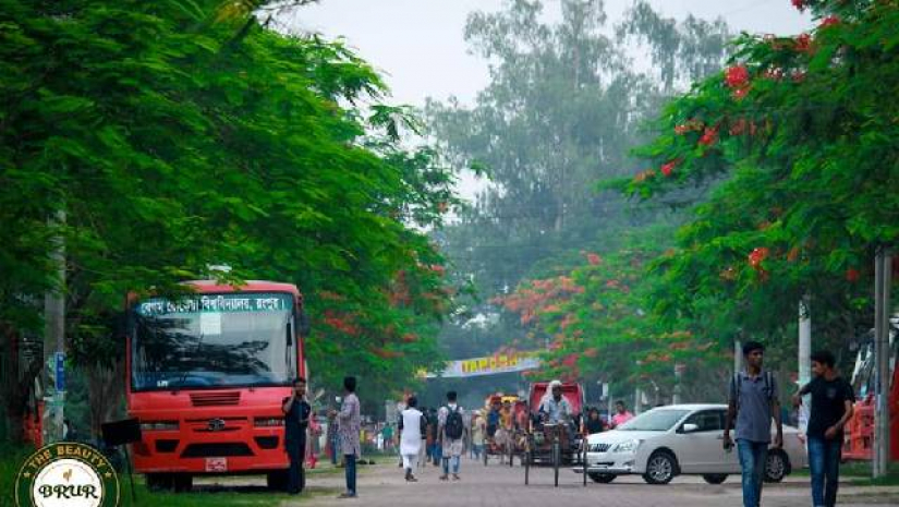 বেগম রোকেয়া বিশ্ববিদ্যালয় জ্বালানি