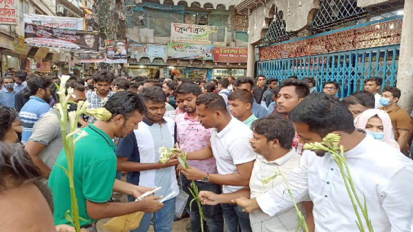 জবি ছাত্রদল