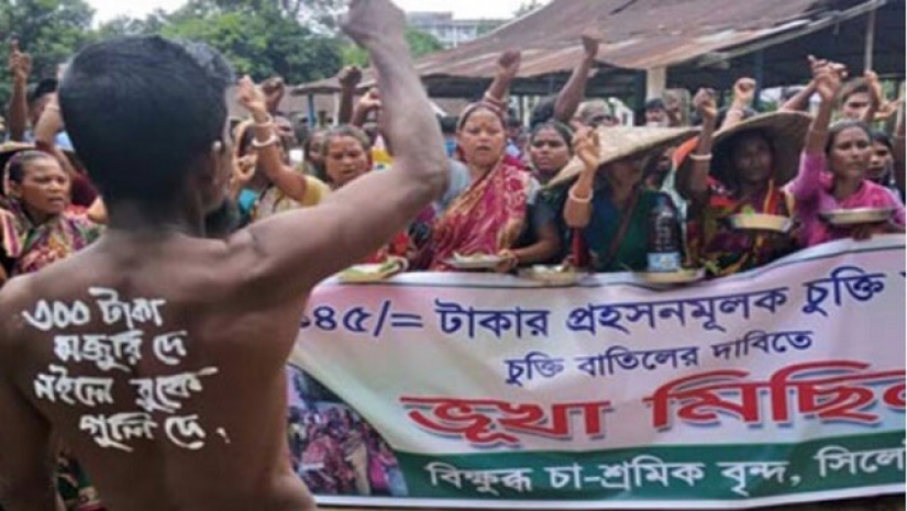 ১২০ টাকা মজুরিতে কাজে ফিরছেন চা শ্রমিকেরা