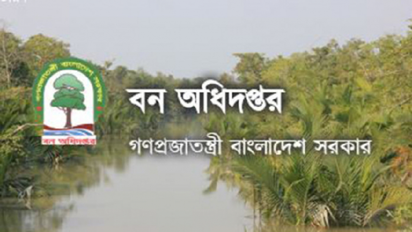 বন অধিদপ্তর